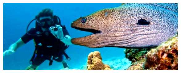 Чего нужно бояться в Египте