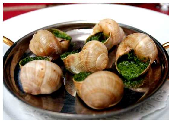 Чем славится Франция еда