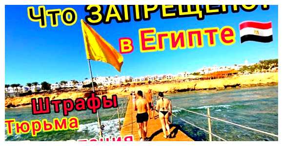 Что нельзя делать на отдыхе в Египте (нельзя, делать, отдых, египте, время отдыха) Что нельзя делать на отдыхе в Египте