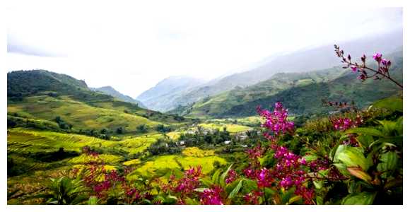 Есть ли у Вьетнама две столицы