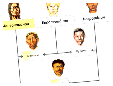 Где больше всего русских в Лондоне