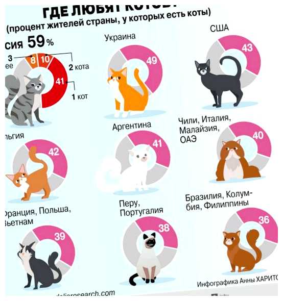 Где любят кошек
