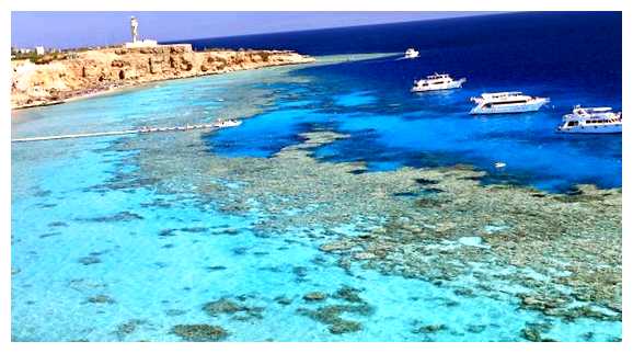 Где лучше отдыхать в Хургаде или в Шарм-эль-Шейх