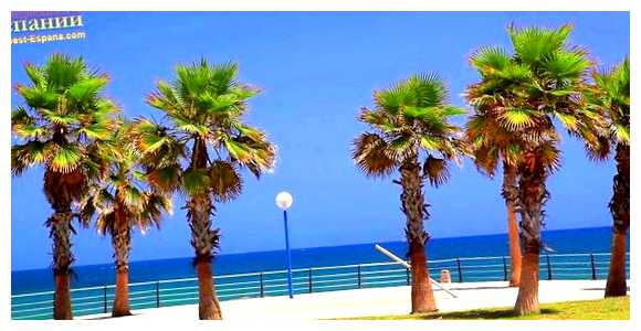 Где в Испании пляжи с белым песком