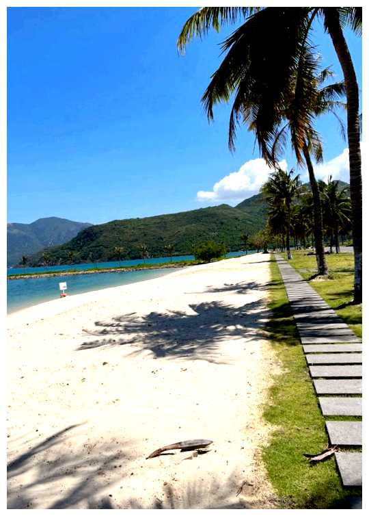 Где во Вьетнаме много русских