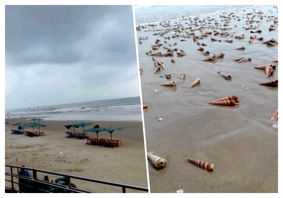 Где во Вьетнаме можно купаться