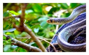 Где жить во Вьетнаме зимой