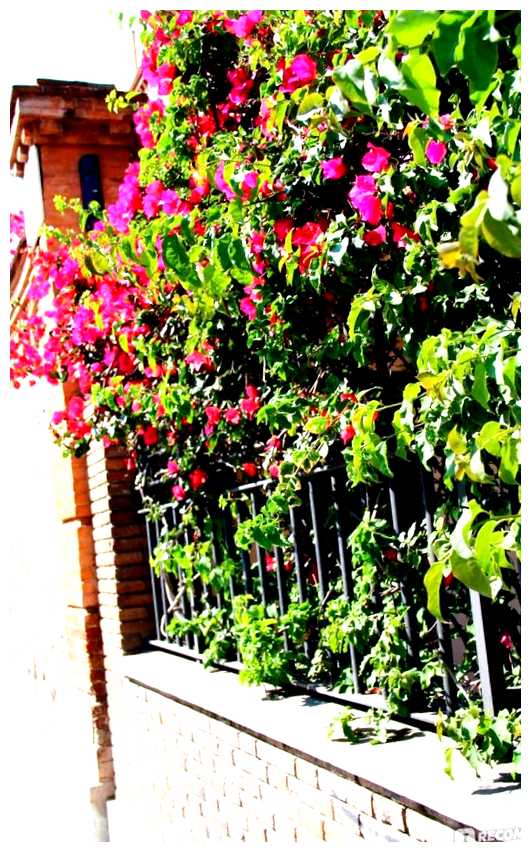 Как обезопасить себя в Барселоне