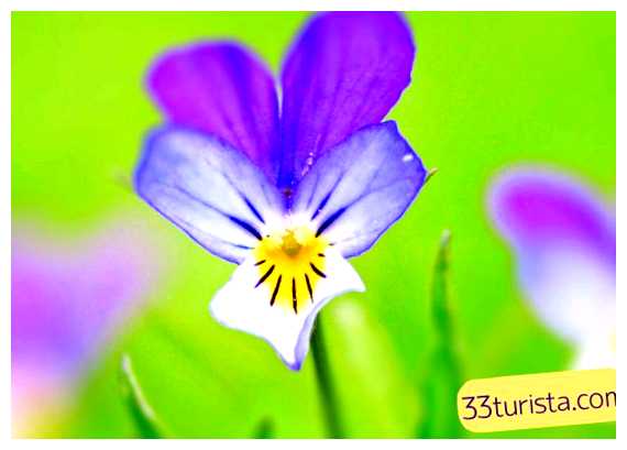 Как обидеть грека