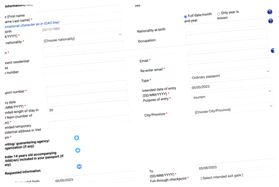 Как остаться во Вьетнаме на долго