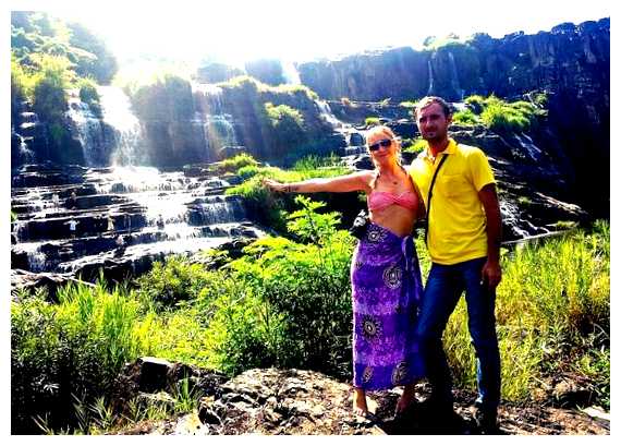 Как относятся к собакам во Вьетнаме