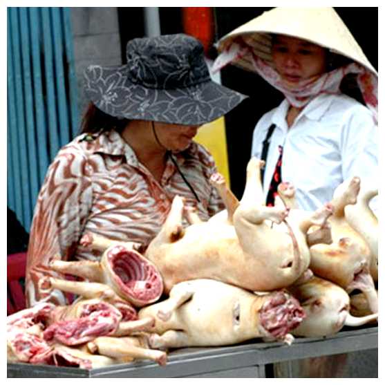 Как вьетнамцы готовят собак