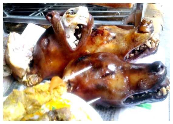 Как вьетнамцы готовят собак