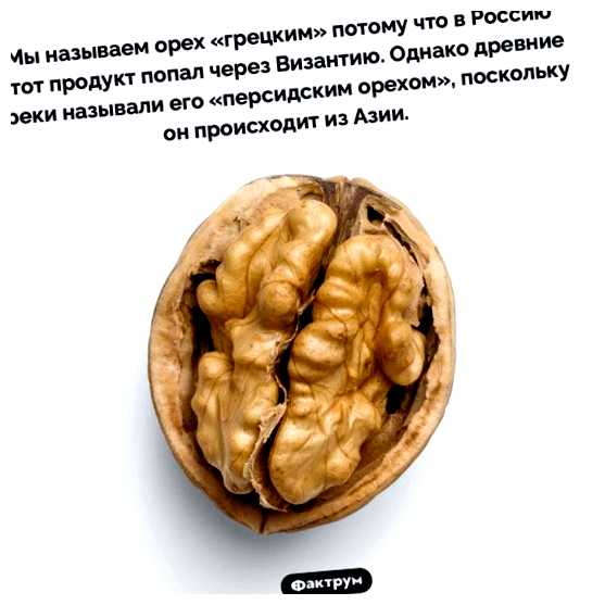 Какие есть интересные факты о Греции