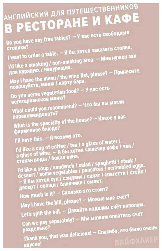 Какие фразы нужно знать туристу в Египте