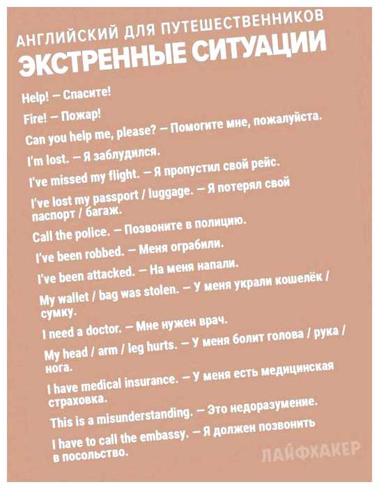 Какие фразы нужно знать туристу в Египте