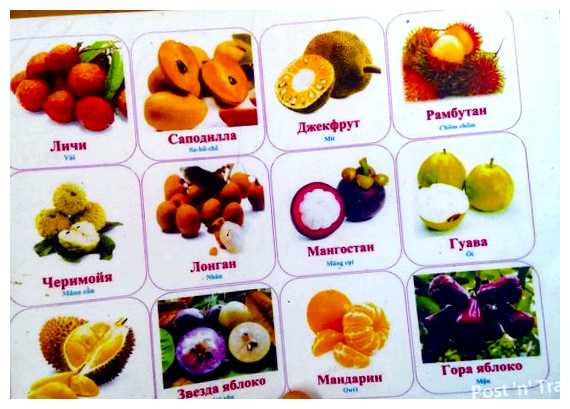 Какие фрукты можно вывезти из Вьетнама