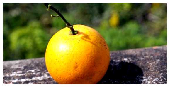 Какие фрукты можно вывезти из Вьетнама