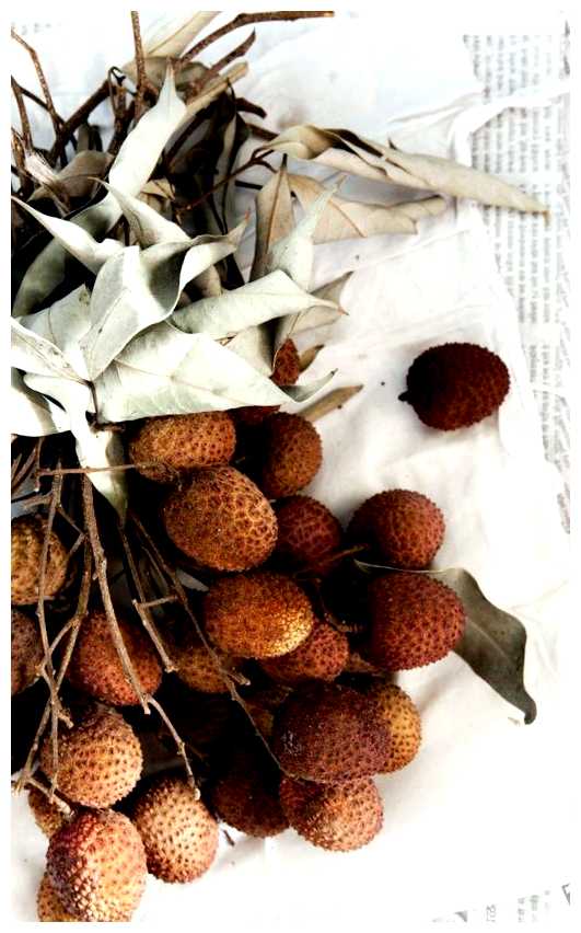 Какие фрукты нельзя вывозить с Вьетнама