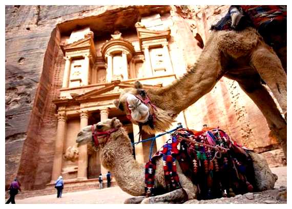 Какие экскурсии стоит брать в Шарм Эль Шейхе