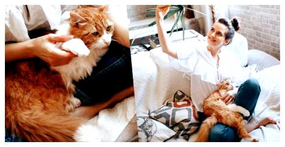 Какие люди не нравятся кошкам