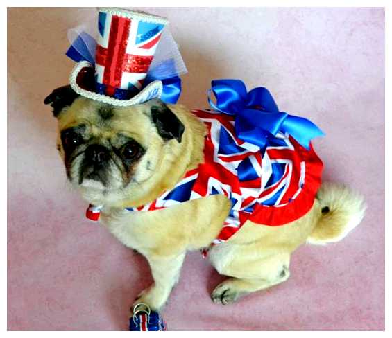 Какие продукты нельзя ввозить в Англию