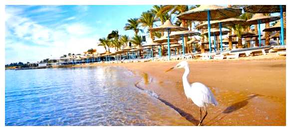 Какой курорт в Египте самый лучший