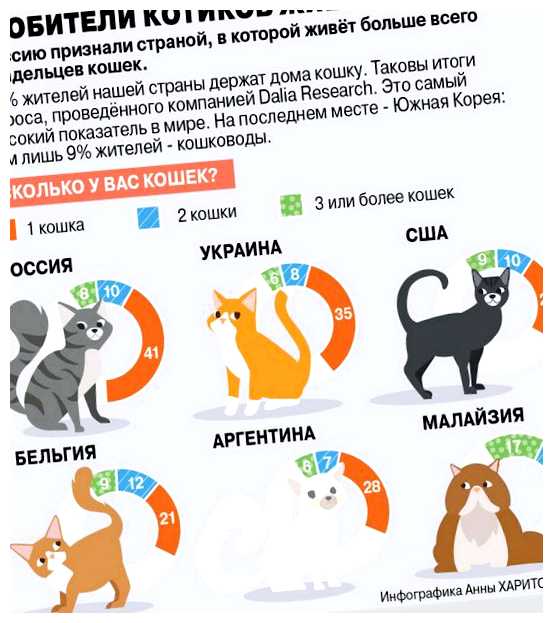 Какой стране живёт больше всего кошек