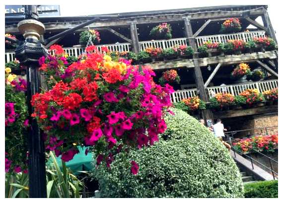 Когда лучше всего ехать в Англию