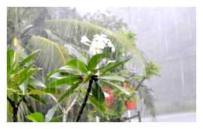 Когда сезон дождей в Нячанге