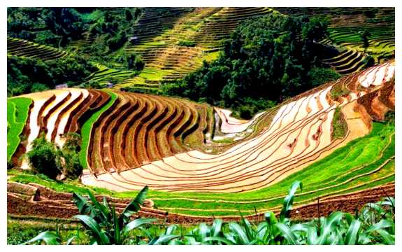 Когда во Вьетнаме идут дожди