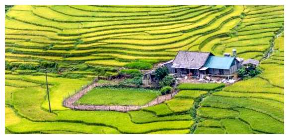 Когда во Вьетнаме идут дожди