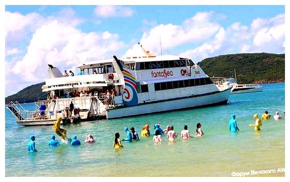 Кто кусает в море во Вьетнаме