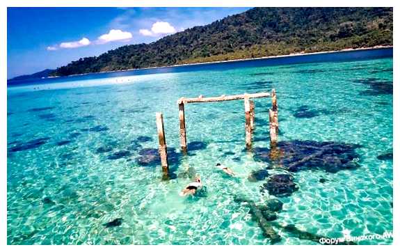 Кто кусает в море во Вьетнаме