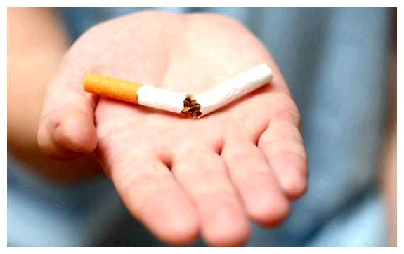 Можно ли курить на набережной