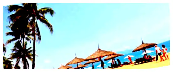 Можно ли сейчас лететь во Вьетнам