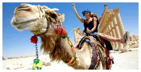 Откуда дешево улететь в Египет