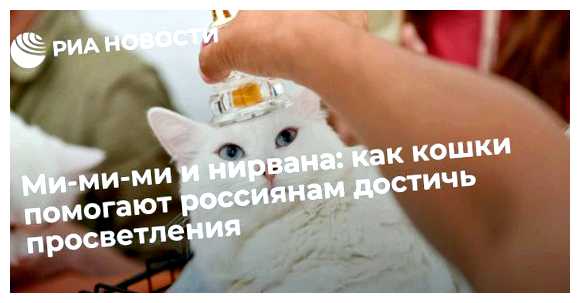 Почему буддисты не любят кошек