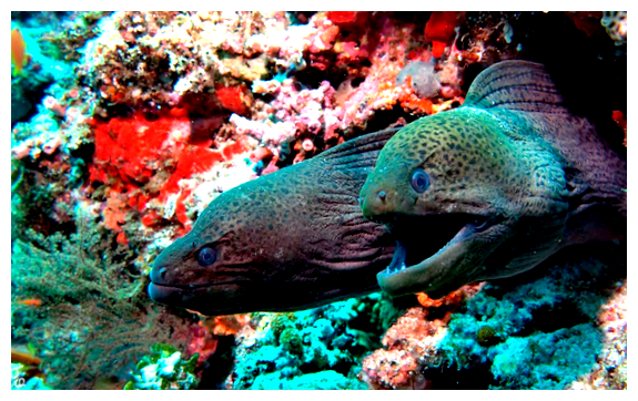 Почему в Египте нельзя купаться в море ночью