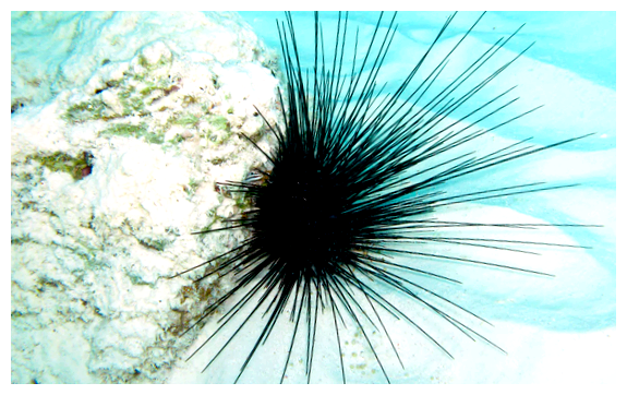 Почему в Египте нельзя купаться в море ночью