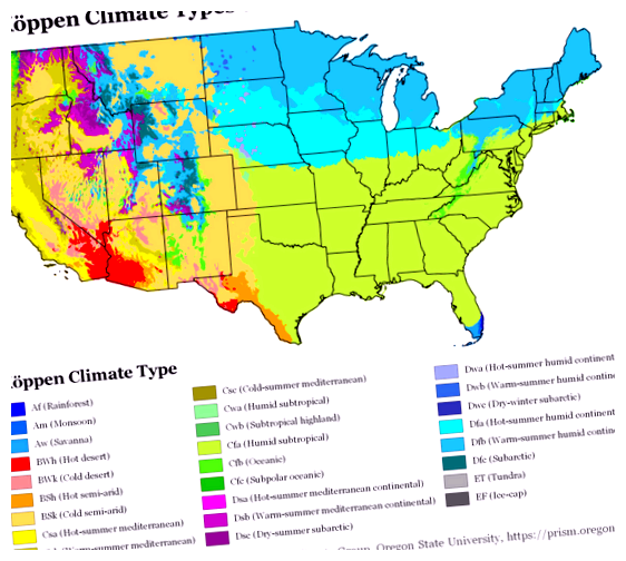 В каком американском штате больше всего русских