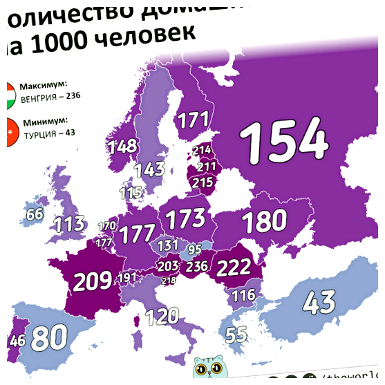 Где больше всего бездомных кошек