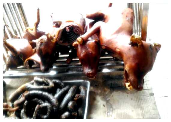 Как вьетнамцы готовят собак