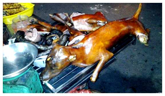 Какие породы собак едят во Вьетнаме