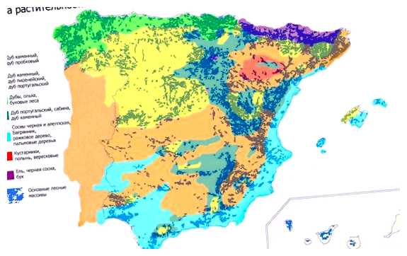 Какой тип климата в Испании