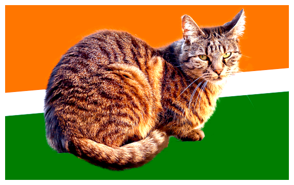 Почему нету кошек в Индии
